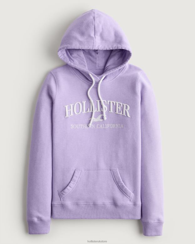Tops Hollister Women Easy Logo Graphic Hoodie 48820155 Purple