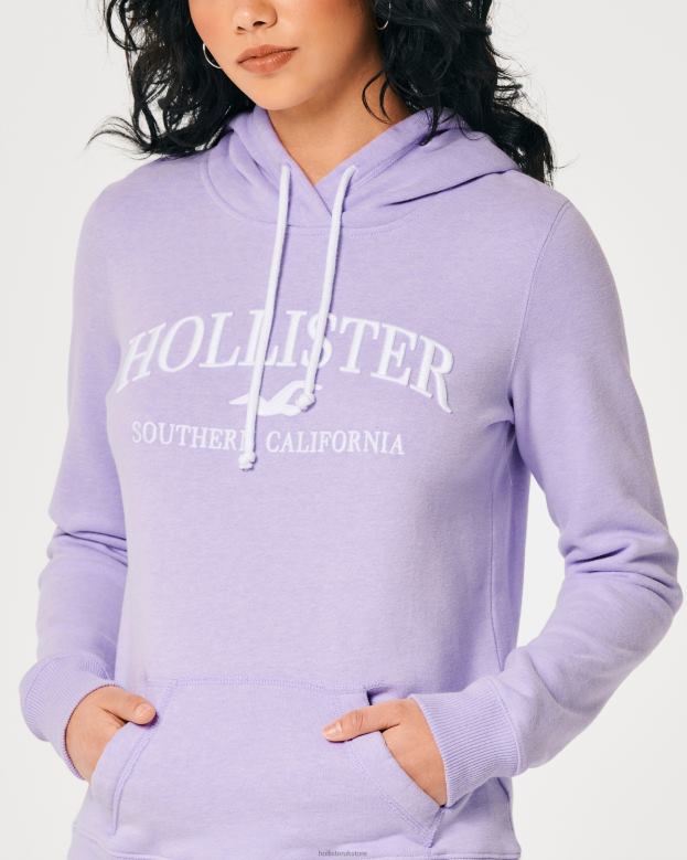 Tops Hollister Women Easy Logo Graphic Hoodie 48820155 Purple