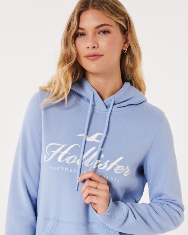 Tops Hollister Women Easy Logo Graphic Hoodie 48820315 Light Blue