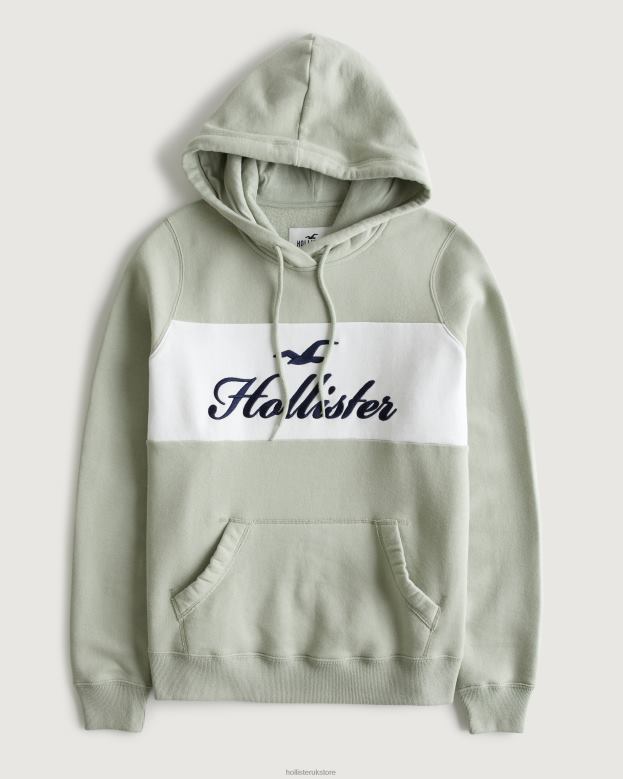 Tops Hollister Women Easy Logo Graphic Hoodie 48820321 Sage Green