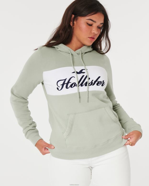 Tops Hollister Women Easy Logo Graphic Hoodie 48820321 Sage Green