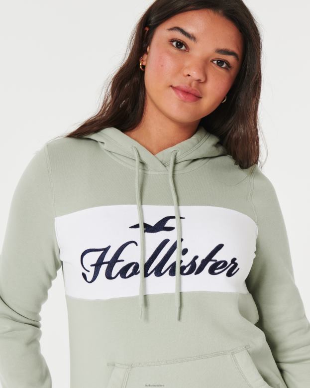 Tops Hollister Women Easy Logo Graphic Hoodie 48820321 Sage Green