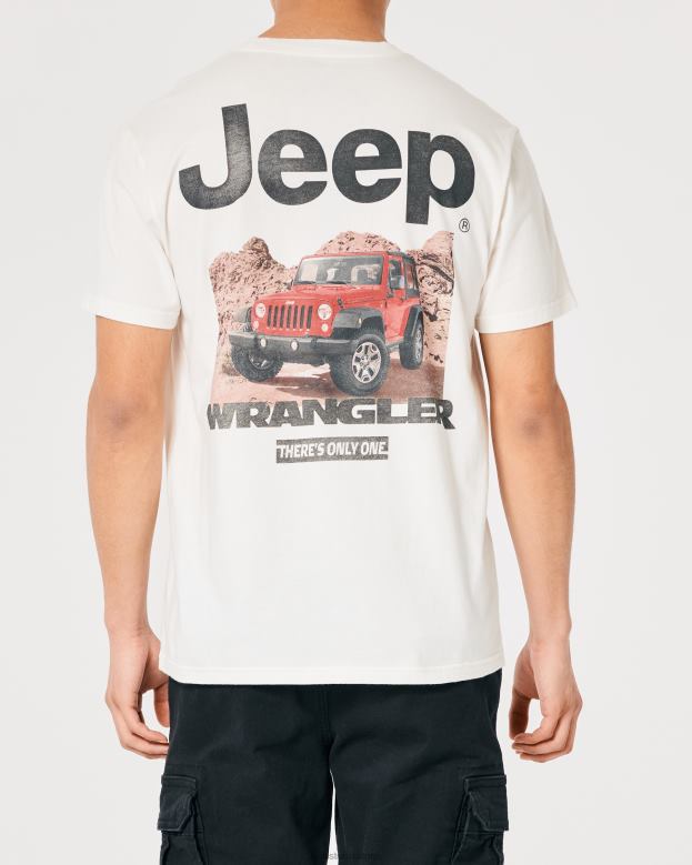 Tops Hollister Women Relaxed Jeep Graphic Tee 48820162 Off White-Jeep