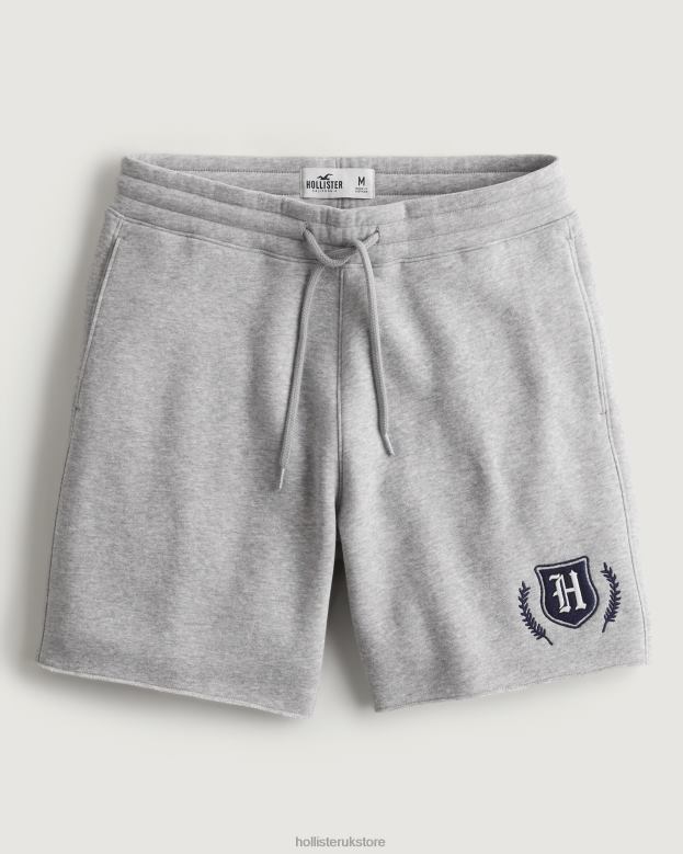 Bottoms Hollister Men Fleece Varsity Graphic Shorts 7'' 488201335 Heather Grey